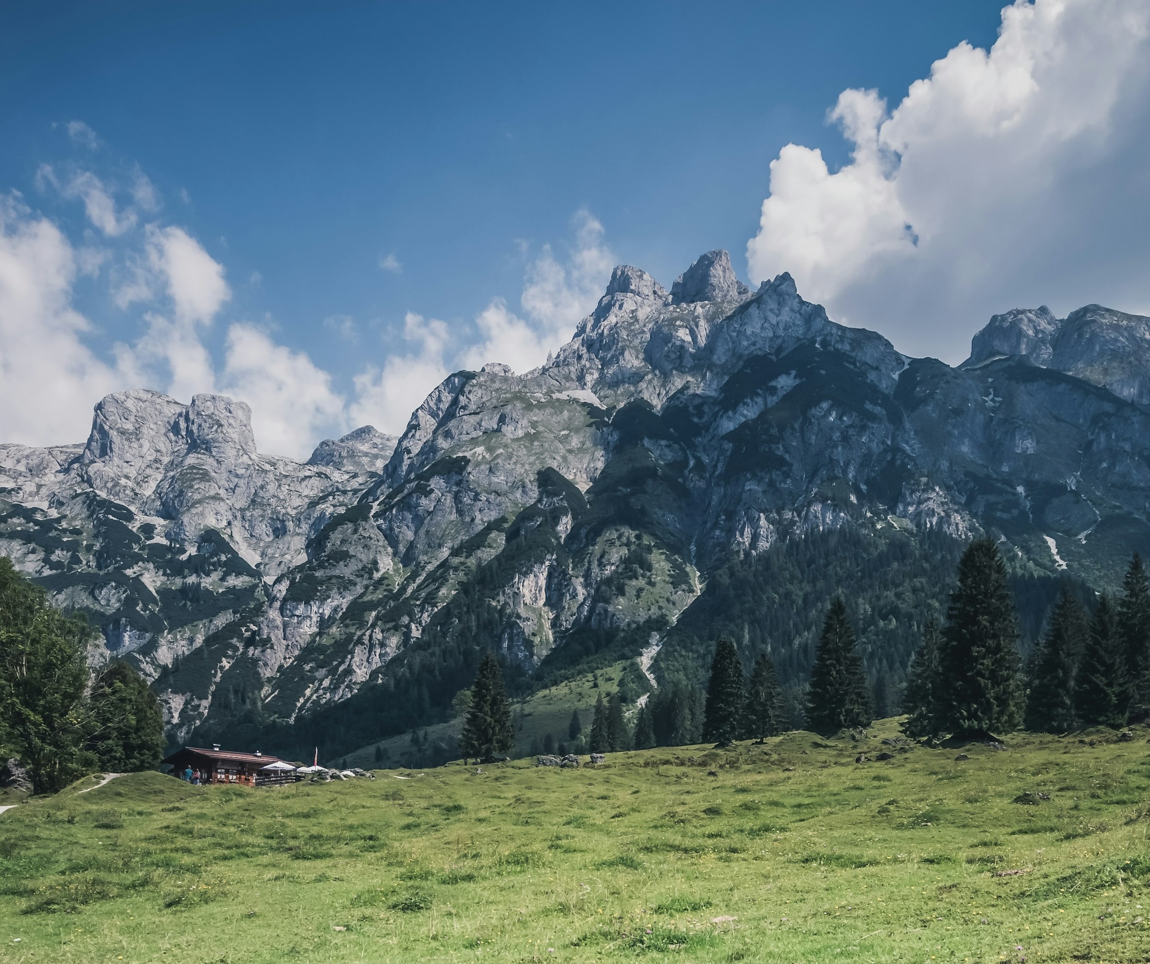 University of Sustainability